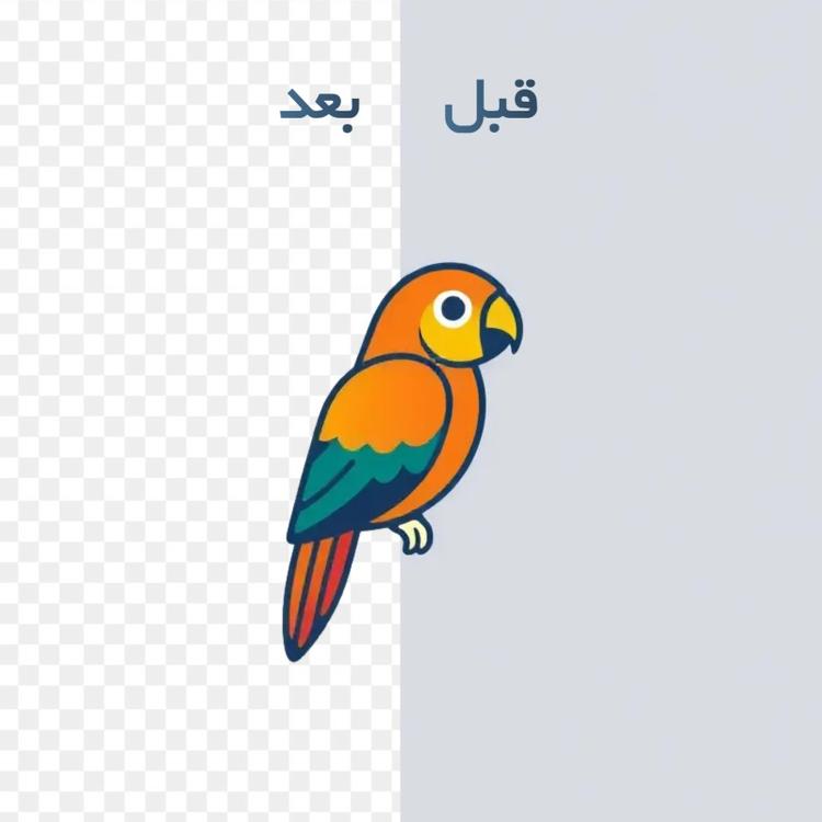 آیکون و لوگو