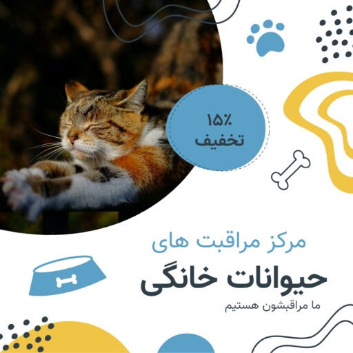 پت شاپ