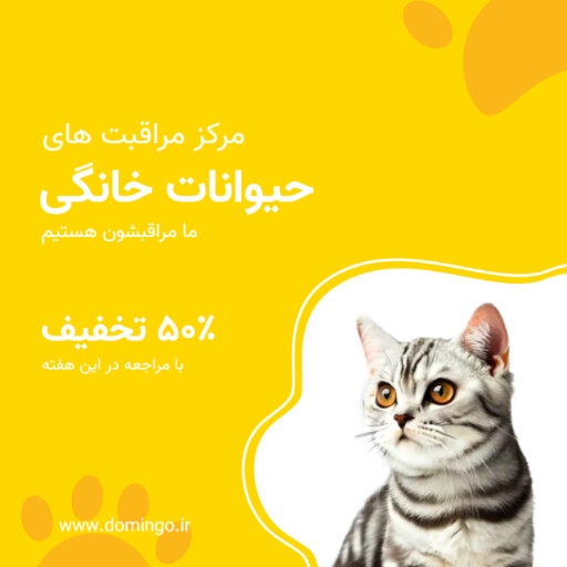 گربه